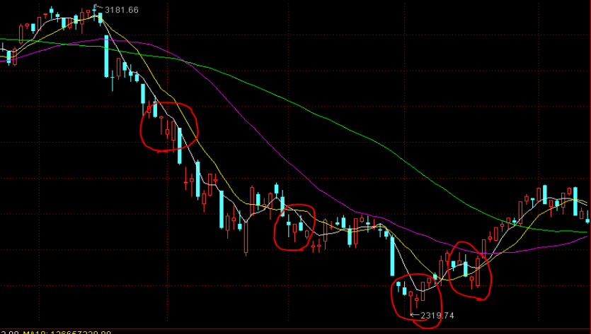 PayPal(PYPL.US)预计将支持100+种加密货币,重塑跨境交易模式