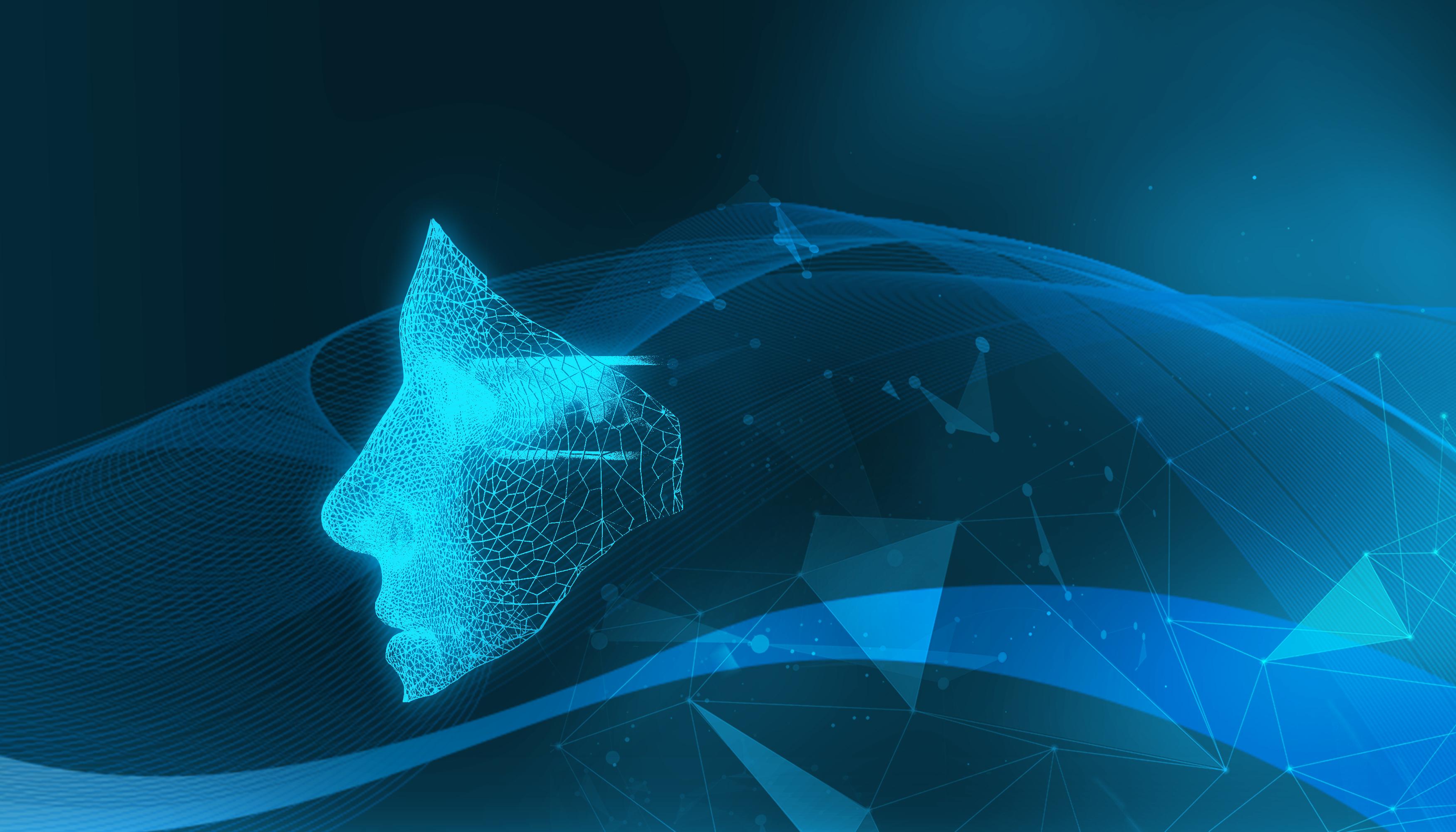 湖北发布学校食堂食品安全管理规范